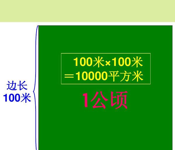平方米和公顷的进率是多少？