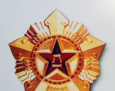 我军1955年颁发的是哪三种勋章？