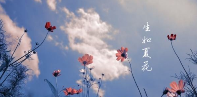 生如夏花什么意思