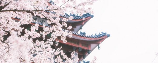 傲娇是什么意思  傲娇是指什么意思
