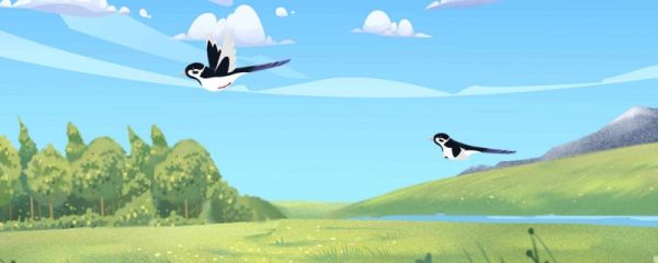 春分天气不好有啥说法 有啥特点