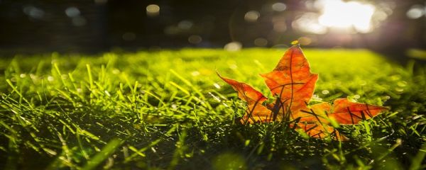 立秋后天气还热吗 立秋节气的气候特点