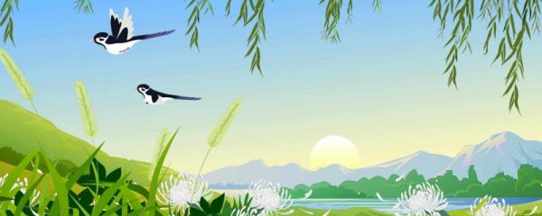 初伏是什么节气 初伏是什么意思