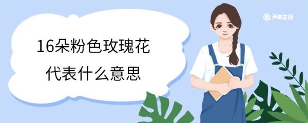 16朵粉色玫瑰花代表什么意思 粉色玫瑰花适合送什么人