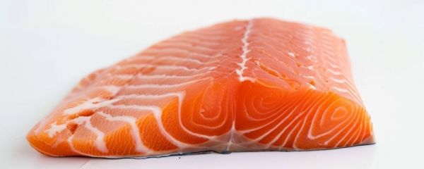 三文鱼可以生吃吗