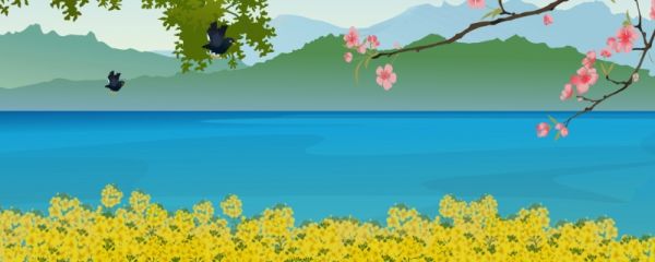 立春象征意义 2024立春在哪一天