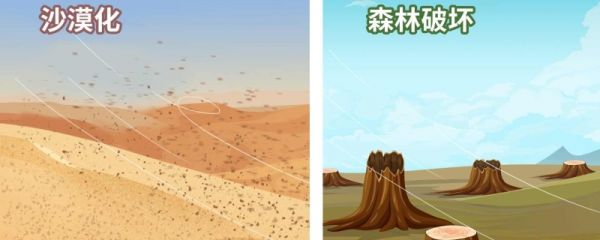 世界环境日可以做什么 世界环境日的含义