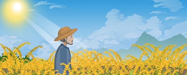 芒种节气吃什么蔬菜 芒种节气做什么