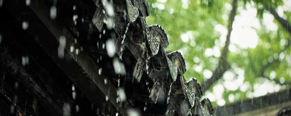 梅雨的危害 梅雨的危害有哪些