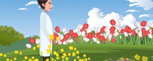 谷雨时节种什么农作物 分别有哪些