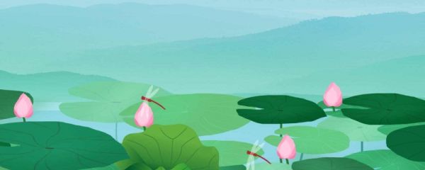 夏至节气朋友圈怎么发 夏至是夏天到来的意思吗