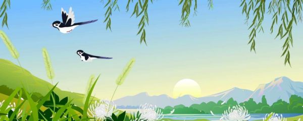 夏至节气可以种什么菜 夏至的民俗活动有什么