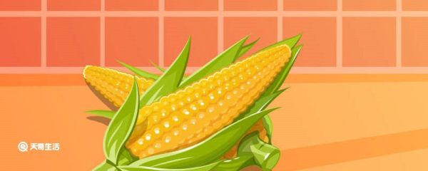 煮玉米放糖还是放盐 煮玉米放糖还是放盐合适