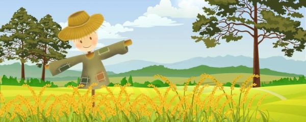 夏至是进入夏天了吗 夏至是指夏天最热的时候吗
