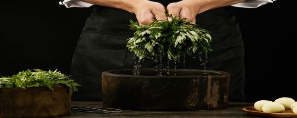 蒸野菜需要几分钟 蒸野菜需要多长时间