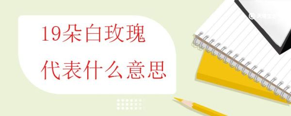 19朵白玫瑰代表什么意思 白玫瑰的含义