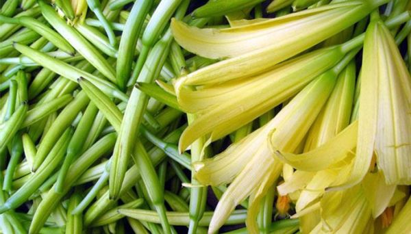 黄花菜有毒吗 黄花菜是否有毒