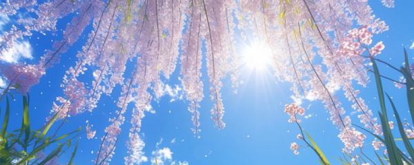 夜来风雨声花落知多少是什么季节