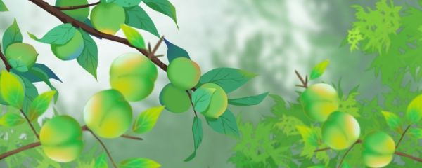 芒种饮食风俗 芒种时节怎么养生