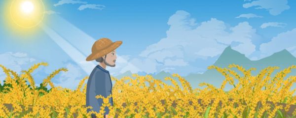 夏至是夏天开始还是结束 夏至属于第几个节气