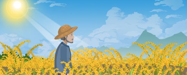 2024芒种是哪天 芒种适合吃什么