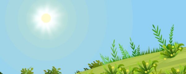 芒种属于什么季节 芒种有哪些农作物
