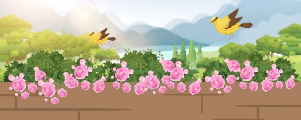 立春之后算冬天还是春天 立春的天气特征