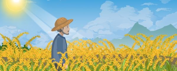 2024芒种是几月几号 芒种节气有哪些习俗