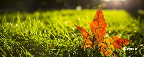 白露是什么季节 白露在什么季节