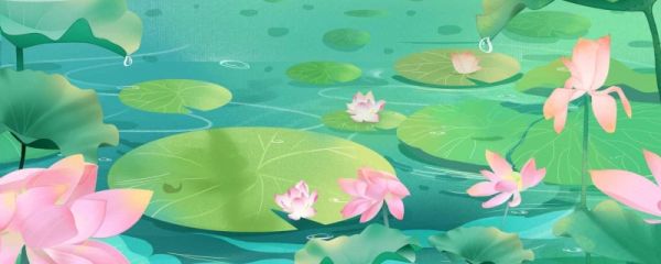 立夏养生吃什么水果 立夏养生吃什么好