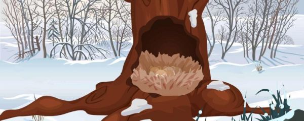 二十四节气立冬的含义是什么 立冬时节的天气特点