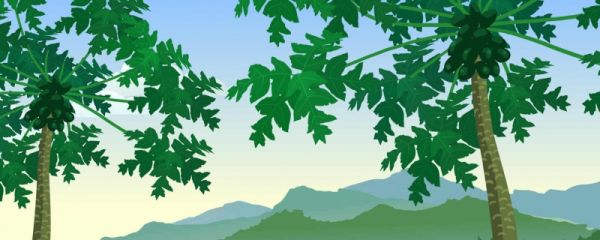 为什么小暑在7月7日 小暑节气有什么传统民俗