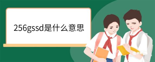 256gssd是什么意思 固态硬盘简介