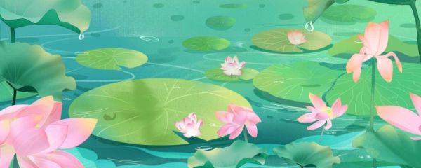 二十四节气芒种的特点 芒种有哪些传统活动