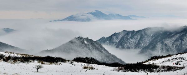 终南山在哪 终南山在哪个省份