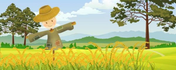 芒种在什么时候 芒种节气有哪些意义