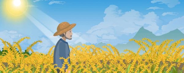 芒种节气的特点和风俗 芒种节气名字的意思