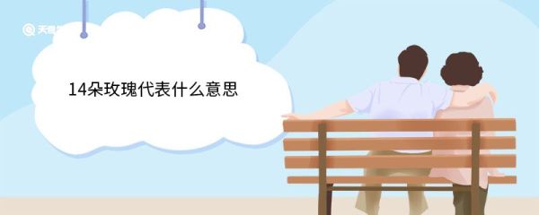 14朵玫瑰代表什么意思 玫瑰的花期是什么时候