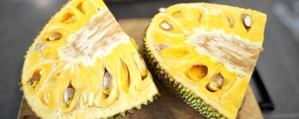 菠萝蜜剥开没熟怎么办