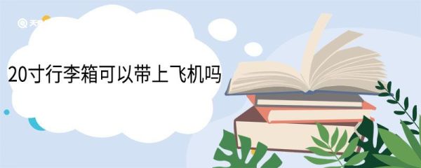 20寸行李箱可以带上飞机吗 ​20寸行李箱过安检要称重吗