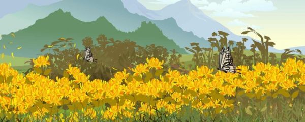 俗话说“寒露百花凋”，猜猜哪种花会在寒露时节盛开 10月8日蚂蚁庄园答案