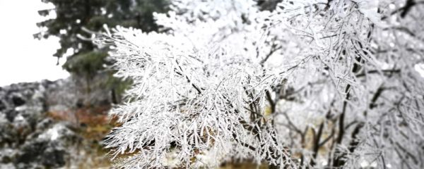 霜降节气会降霜吗 霜降节气的温度是多少