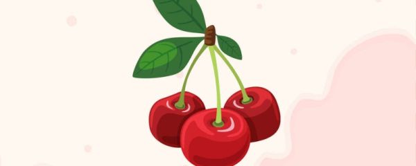 车厘子每天吃多少颗合适 车厘子吃多了会怎样