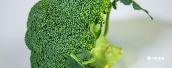 蒸西兰花要蒸多久 蒸西兰花要蒸多久时间