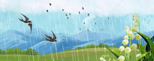 2023哪天是谷雨 谷雨节气的含义是什么