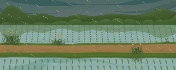 谷雨是什么节气 谷雨的习俗有哪些