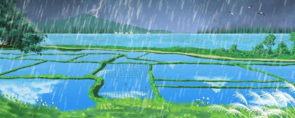 2023年谷雨几号 谷雨是反映什么的