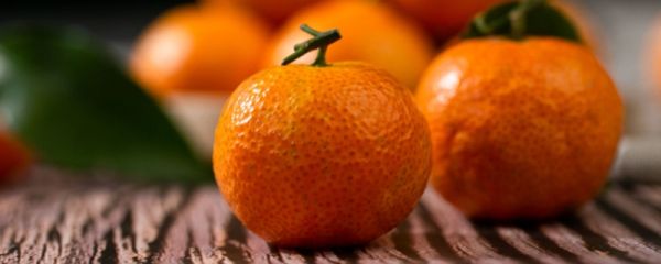 蜜桔和沙糖桔的区别 蜜桔的食用注意事项