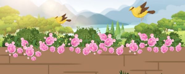 立春后多久天气变暖和 立春时节怎么养生