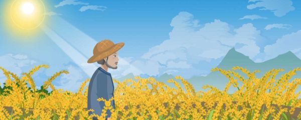 中伏期间需要注意什么 三伏天的时间怎么推算